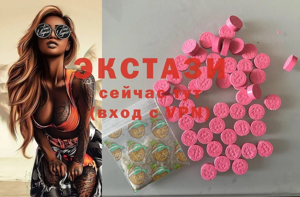 прущие грибы Магадан