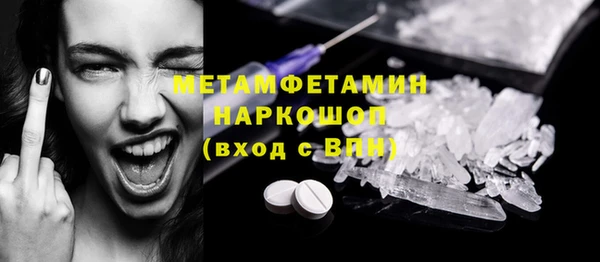 прущие грибы Магадан