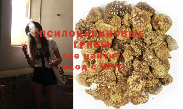 герыч Майский