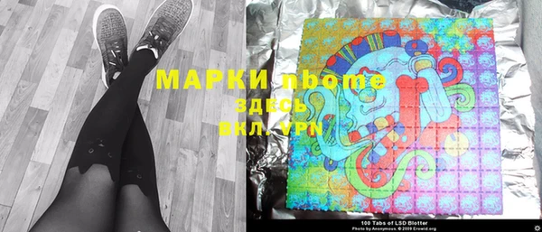прущие грибы Магадан