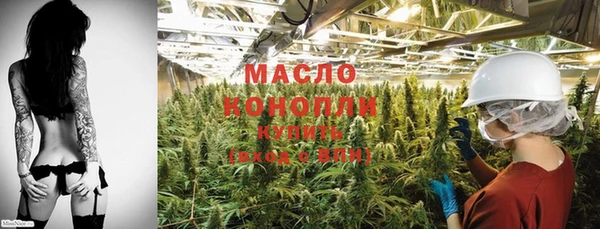прущие грибы Магадан