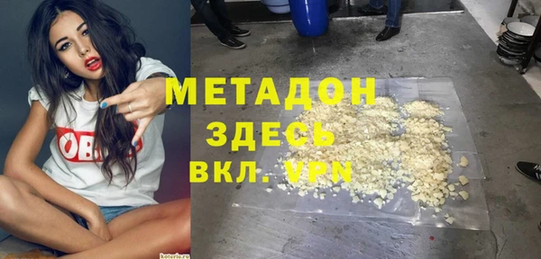 прущие грибы Магадан