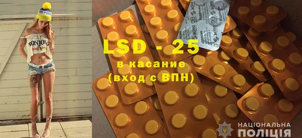прущие грибы Магадан
